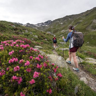 Montagne Zéro Déchet